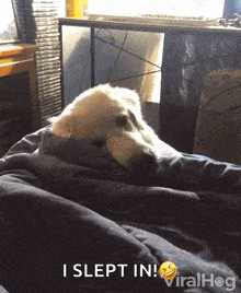 Hiding Under Covers Tired GIF