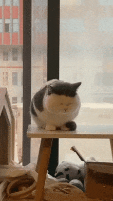a black and white cat is sitting on a table with its eyes closed
