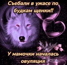 a purple wolf surrounded by hearts and flowers with russian writing