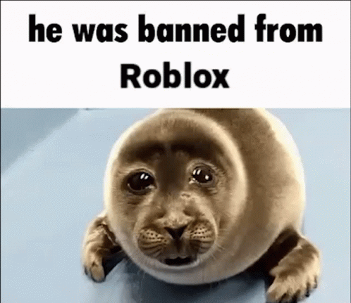 Banned Roblox GIF - Banned Roblox Banned From Roblox - Discover & Share GIFs