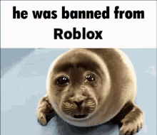 Banned Roblox GIF