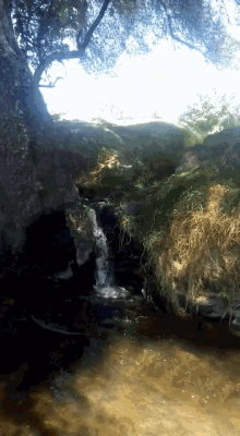 Water Nature GIF - Water Nature Flowing GIFs