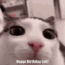 Plink Happy Birthday GIF - Plink Happy Birthday Lolita GIFs