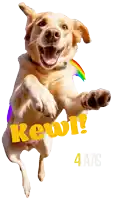 a dog jumping in the air with the word kewl written in yellow