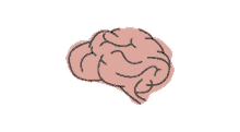 brain more