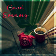 Good Evening Coffee GIF - Good Evening Coffee Rose GIFs