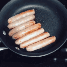 Sausages Dog GIF - Sausages Dog Hungry GIFs