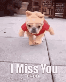 I Miss You Dog GIF - I Miss You Dog GIFs