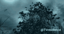 Tvresidence Series GIF - Tvresidence Series The Gloaming GIFs