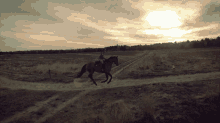 Freedom Moment GIF - Freedom Moment Running Horses GIFs