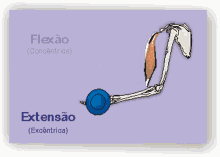 a drawing of a muscle with the words flexao and extensao