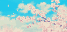 Awake Cherry Blossoms GIF - Awake Cherry Blossoms Petals GIFs