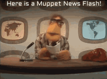 Muppets News Flash GIF - Muppets News Flash Muppet News Flash GIFs
