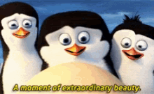 Penguins Of Madagascar Private GIF - Penguins Of Madagascar Private Rico GIFs