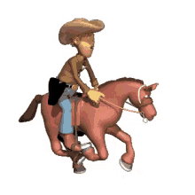 Cowboy Western GIF