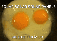 Talking Eggs Funny GIF - Talking Eggs Funny Sunny Side Up GIFs