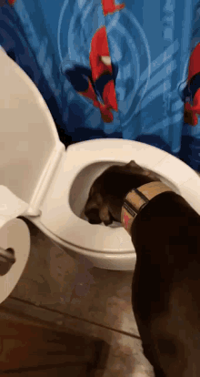 Dog Toilet GIF