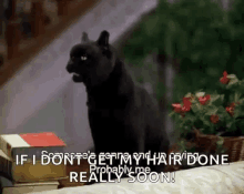 Salem Cat GIF - Salem Cat If I Dont Get My Hair Done Really Soon GIFs