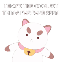thats the coolest thing ive ever seen puppycat bee and puppycat so cool thats amazing