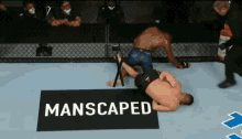 mma mixed martial arts cage fight fighting hold