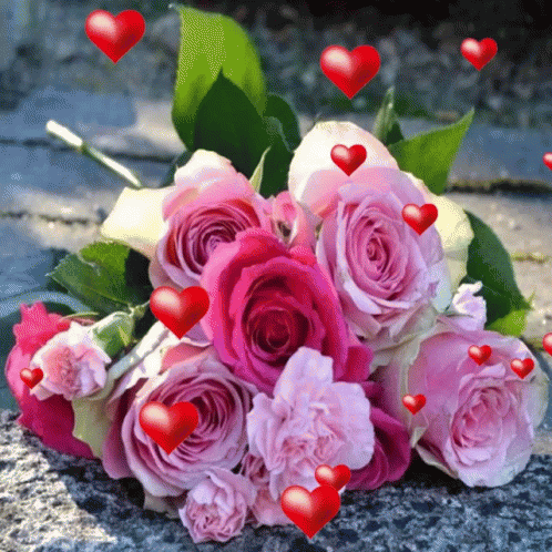 Rose GIF Rose Discover & Share GIFs