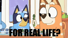 For Real Life Bluey GIF - For Real Life Bluey Family GIFs