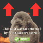 a picture of a dog that says " this post was fact checked by real scoobert patriots "
