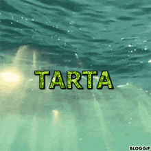 Tartaoceano Tartaruga GIF - Tartaoceano Tarta Tartaruga GIFs