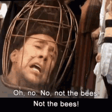 Not the bees!