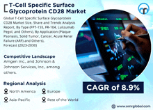 T Cell Specific Surface Glycoprotein Cd28 Market GIF