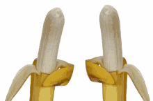 banana elbow