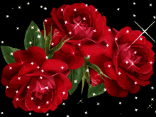 Flowers Rose GIF - Flowers Flower Rose GIFs