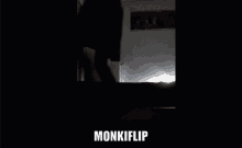 Monki Flip Minaus GIF - Monki Flip Minaus Arma GIFs
