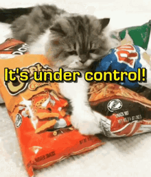 under control its under control i got this i have it under control diet