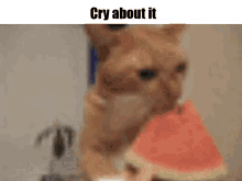 Cryaboutit Crying GIF - Cryaboutit Cry Crying GIFs
