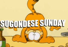 Garfield Sugondese GIF - Garfield Sugondese Sunday GIFs
