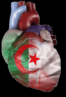 L'Algérie GIF - Algerie Algeria Heart GIFs