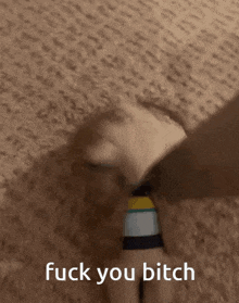 a close up of a person 's foot with the words fuck you bitch below it
