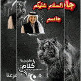 a man in a turban stands next to a tiger with arabic writing on it