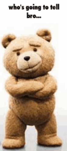 Ted Whos Going To Tell Bro GIF - Ted Whos Going To Tell Bro Teddy Bear GIFs