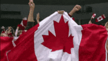 Canada Canadian Flag GIF - Canada Canadian Flag Canadian GIFs