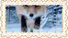 a close up of a fox in the snow with a frame around it .