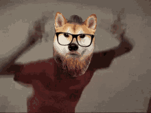 Dogecoin Milgatetyler GIF