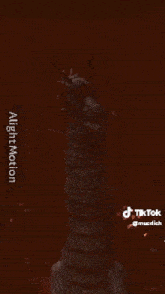 a screenshot of a video that says ' alient motion ' on the bottom