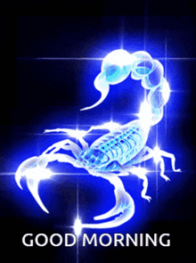 a picture of a scorpion with the words " good morning " below it