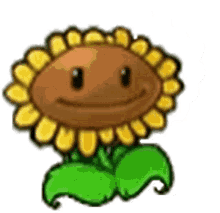 sunflower pvz plants vs zombies