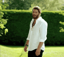 a man with a beard wearing a white shirt is standing in front of a green hedge