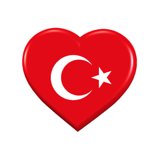 Bayrak Türk Sticker