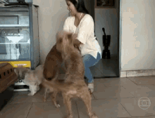 Dogs Love GIF - Dogs Love Pets GIFs