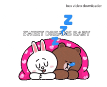 cony and brown cute sleeping bedtime good night